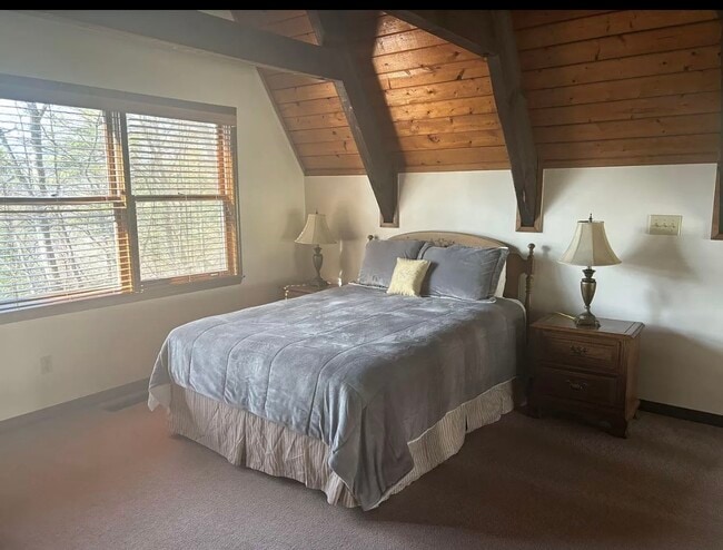 Building Photo - 680 Chalet Village Dr