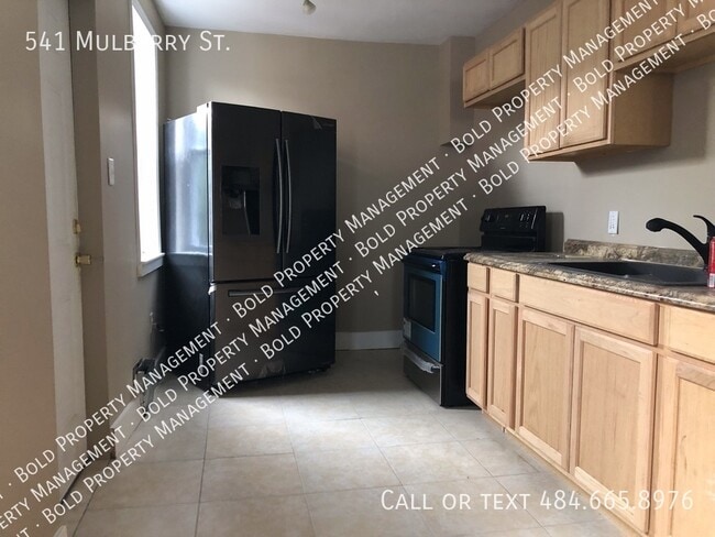 Building Photo - 541 Mulberry St