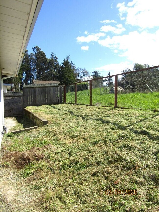 Building Photo - Charming One Bed, One Bath Country Home in Sebastopol-$1,795 per month!