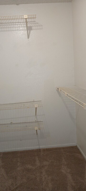 Building Photo - 12615 Brookglade Cir