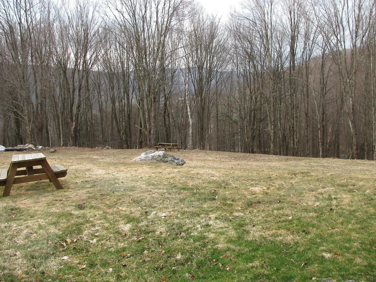 Multiple Pinicc tables with fire pits - 3401 Hancock Rd
