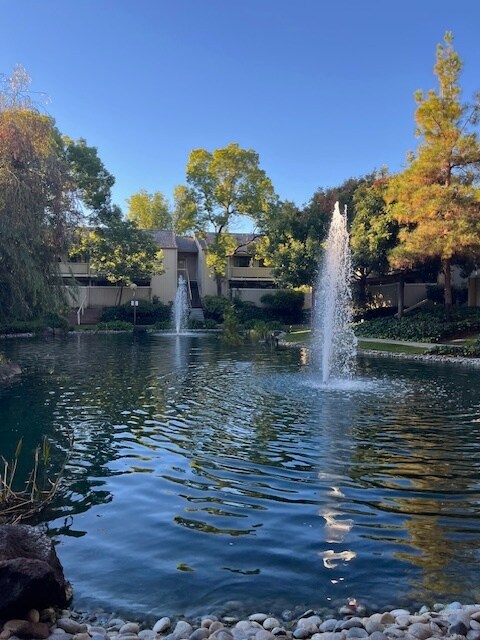 Building Photo - 980 Kiely Blvd