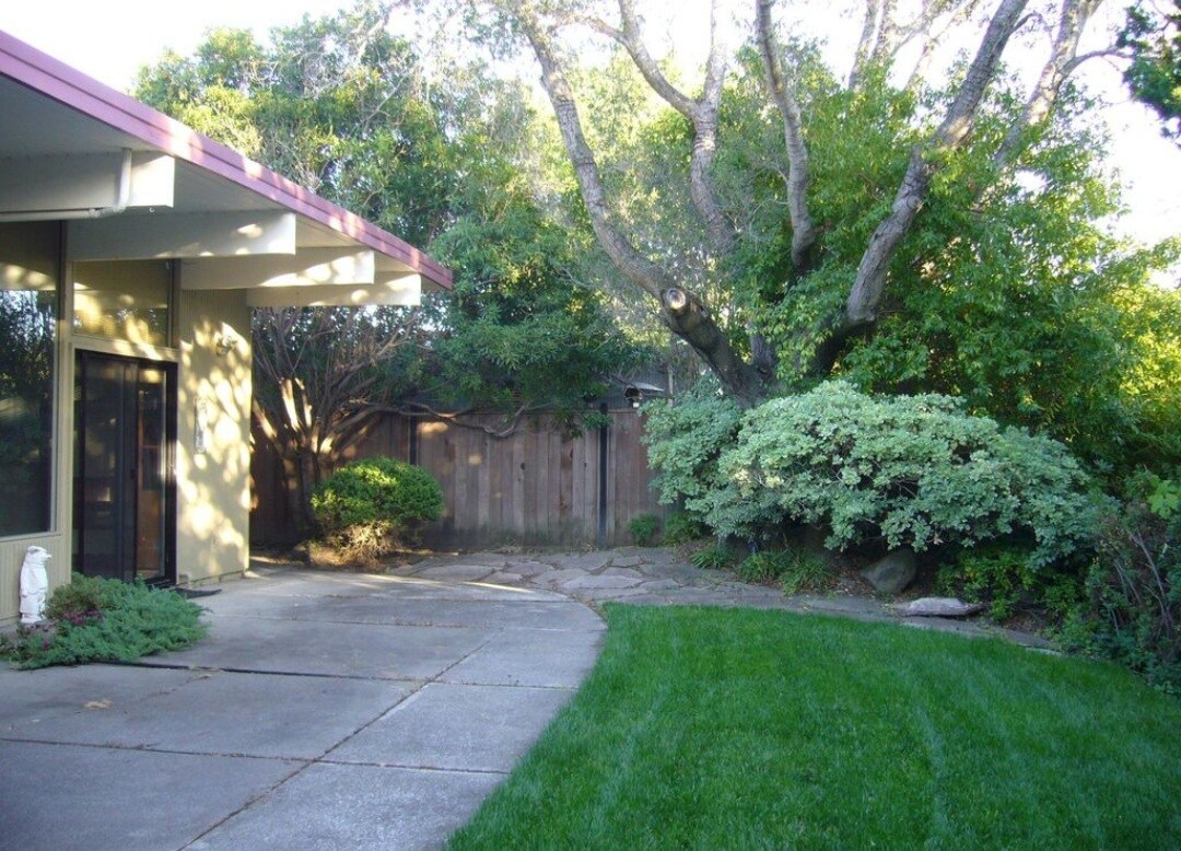 Backyard- being redesigned to sustainable landscape - 721 Las Colindas Rd