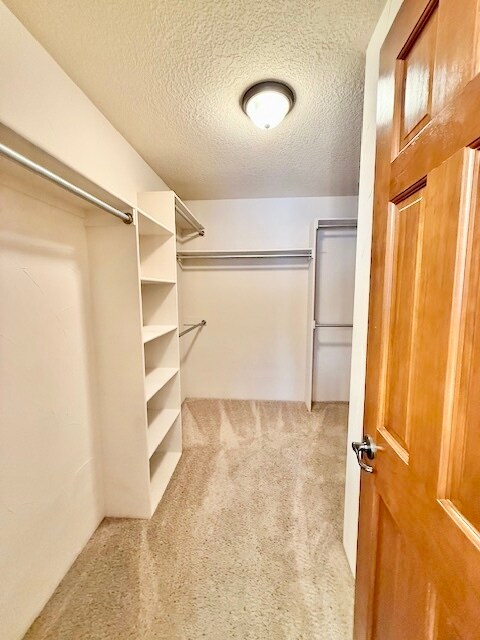 Building Photo - 8724 Cuevita Ct NE
