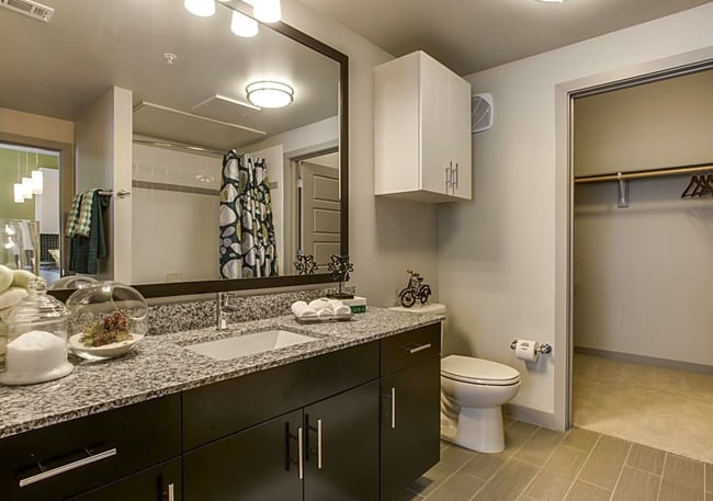 Building Photo - 505 Jackson Hill St