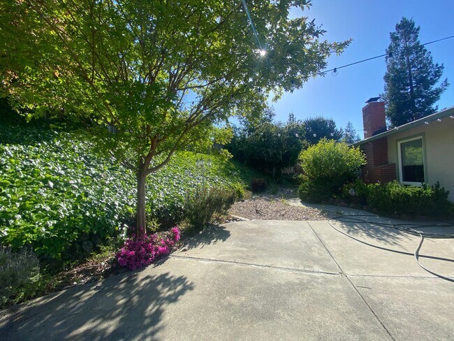 Building Photo - Lafayette Quail Creek Single Story 4BD/2.5BA