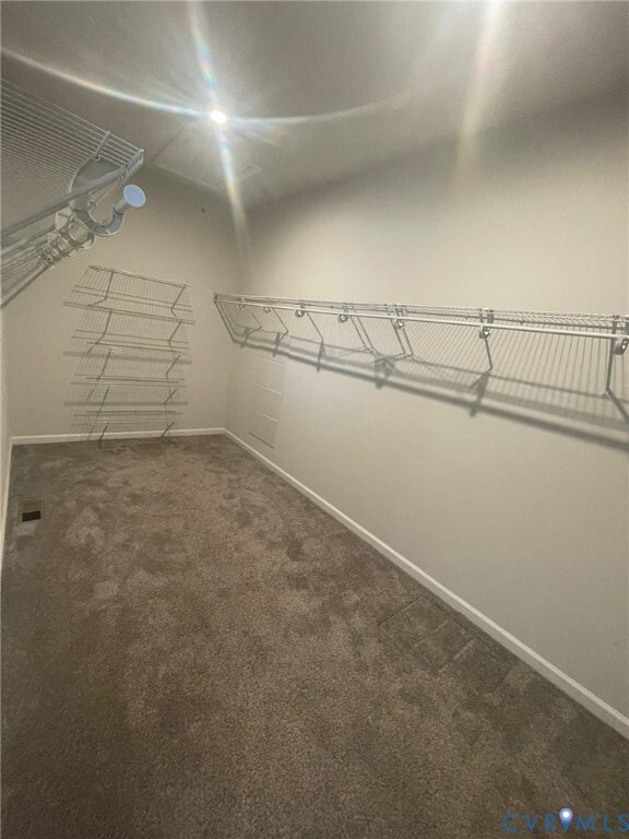 Building Photo - 8131 Wistar Creek Mews