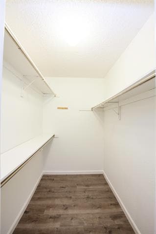 Building Photo - 1535 Rocky Point Dr