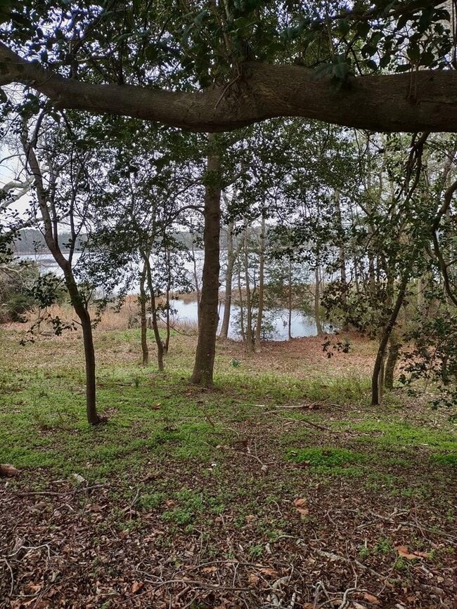 Building Photo - 35448 Windingdale Dr