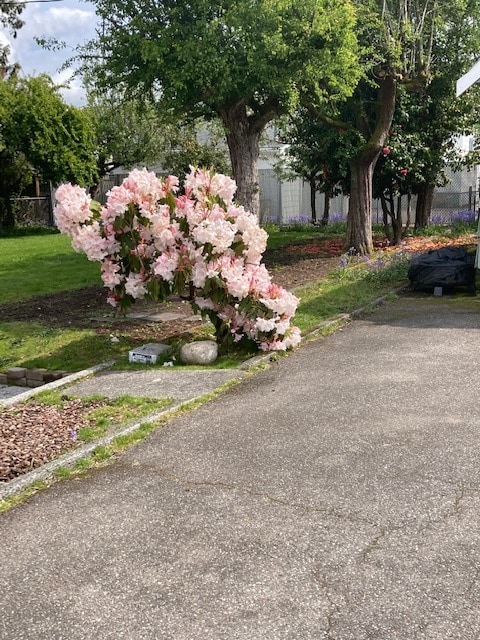 Driveway - 1536 Pennsylvania Ave