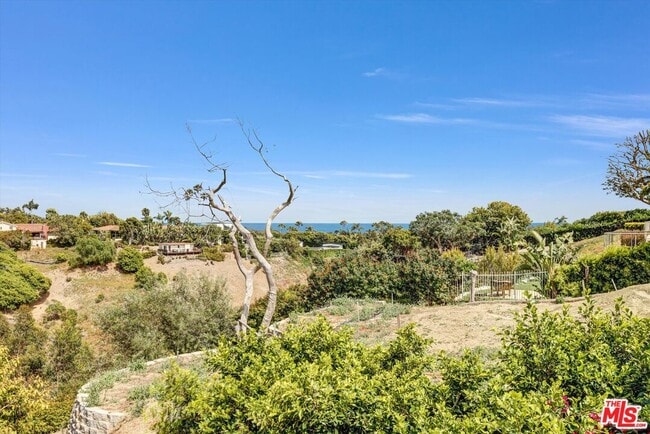 Building Photo - 6656 Dume Dr