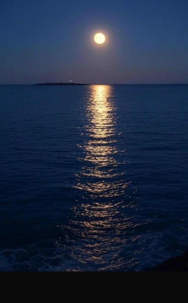 Building Photo - 3009 S Ocean Blvd