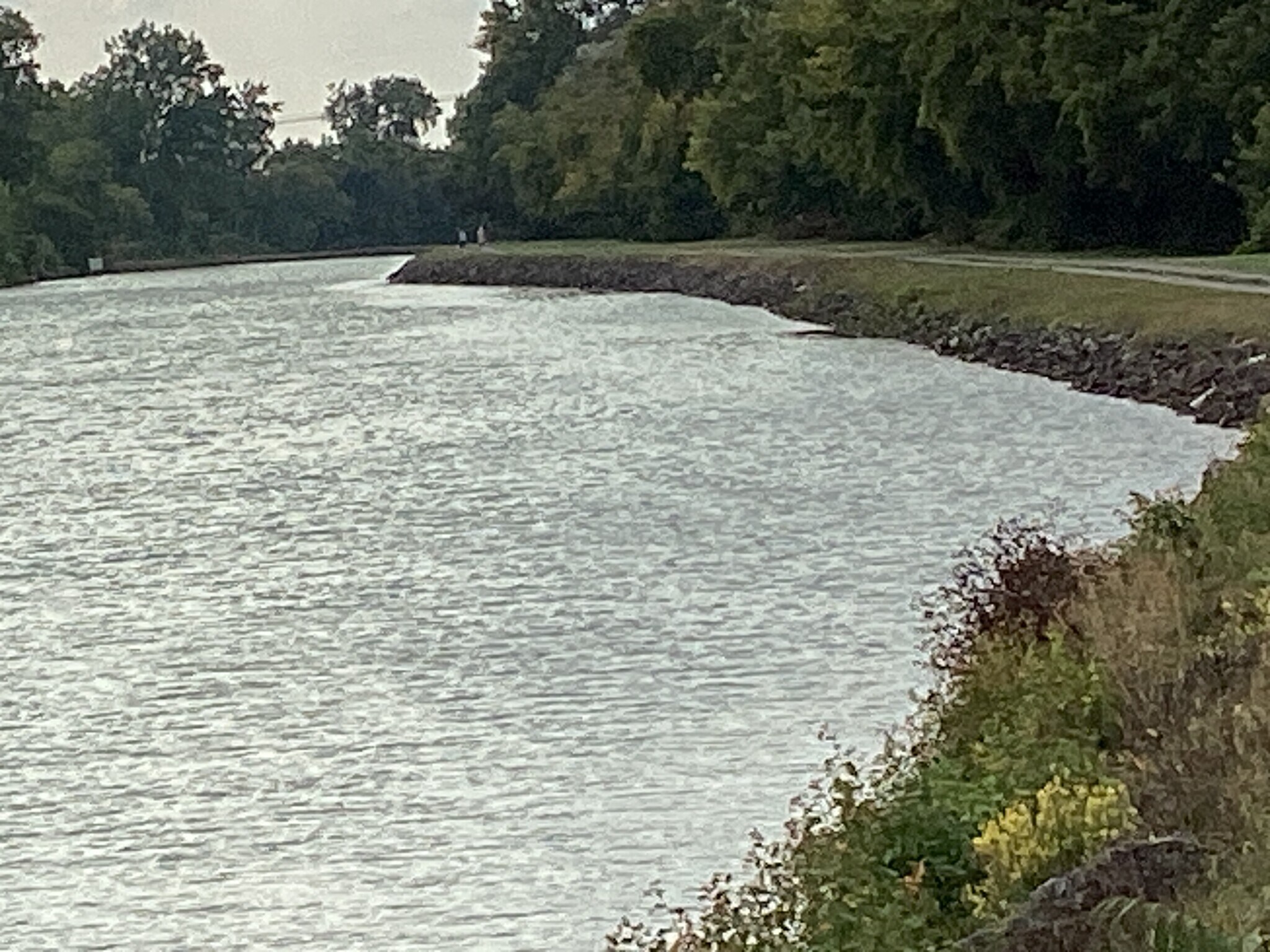 Building Photo - 4444 Main St