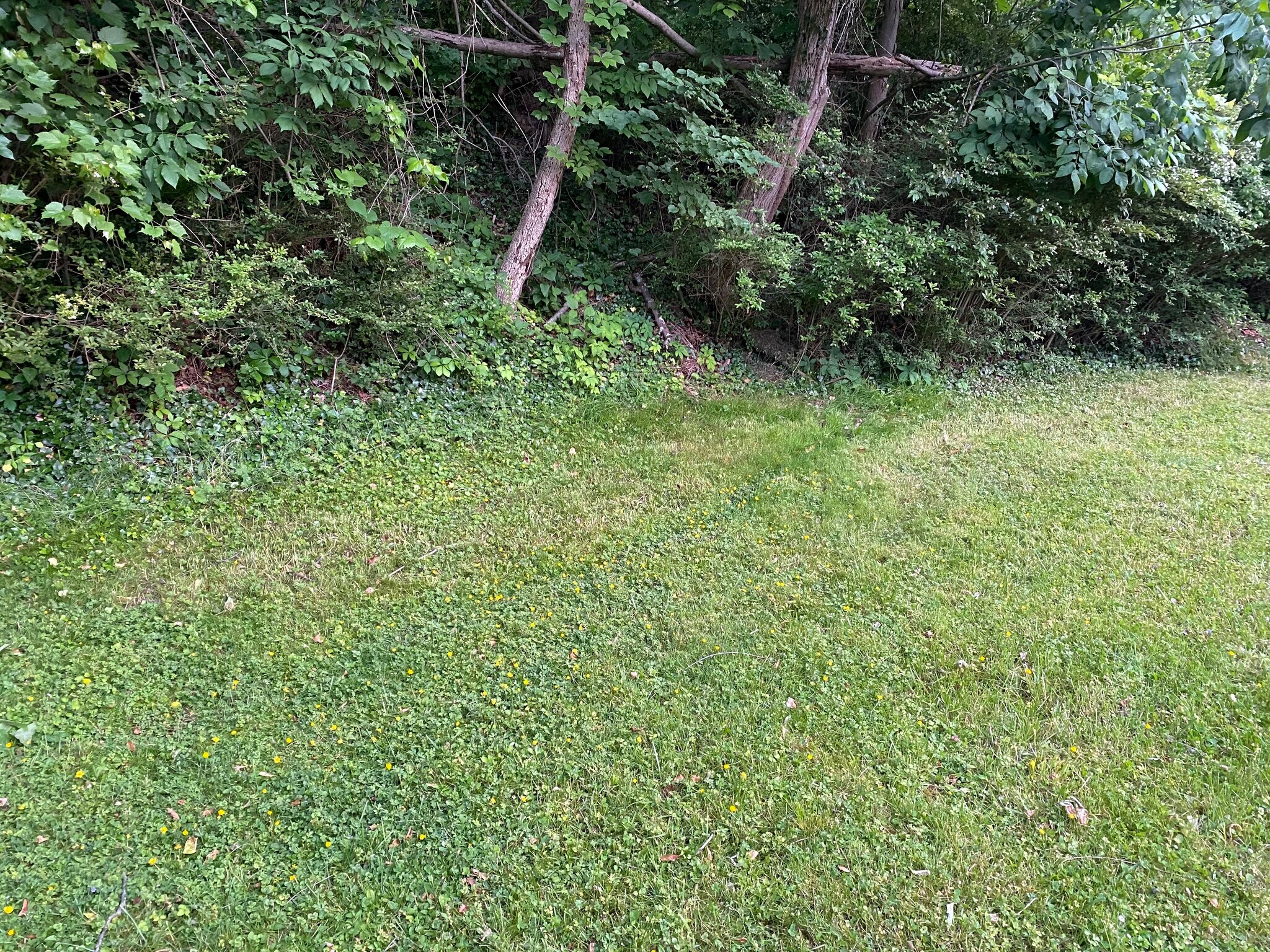 Building Photo - 210 Mount Lebanon Blvd