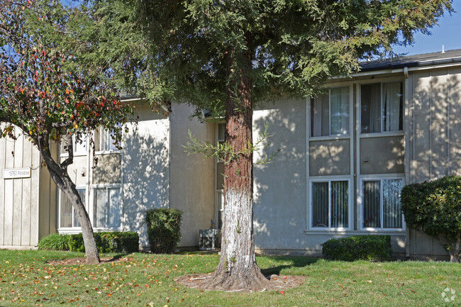 Building Photo - Oakwood Apartments II