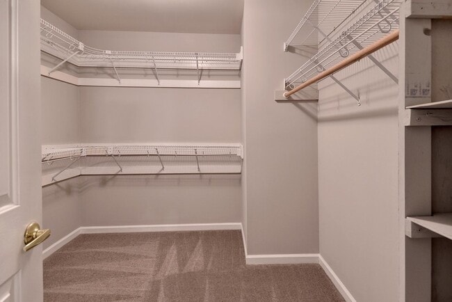 Building Photo - Updated & Spacious Home in Wythe Creek Farms