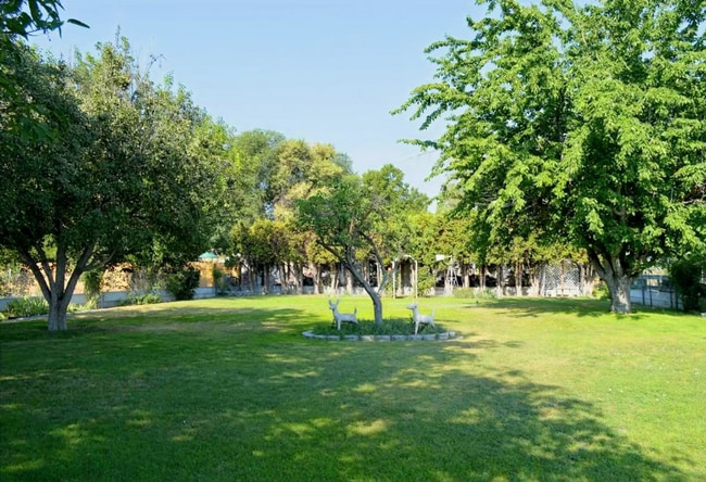 Building Photo - Spacious Cottage on 1/2 Acre Lot