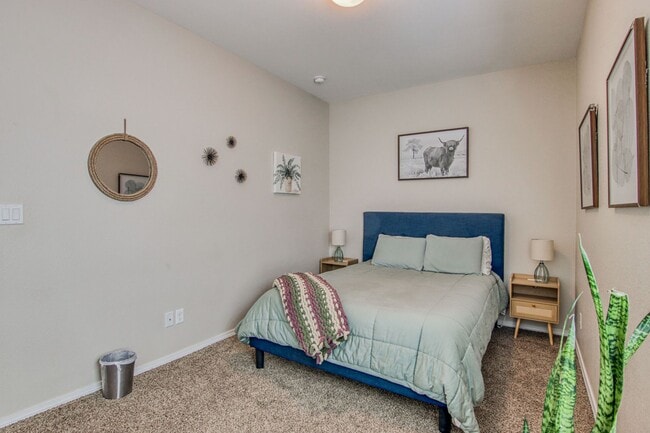 Building Photo - Beautiful Modern & Contemporary House 3 beds-2 baths in 79932