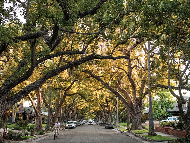 South Pasadena -Street - 809 Brent Ave