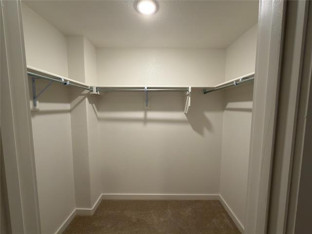 Building Photo - 3102 Bunting Dr