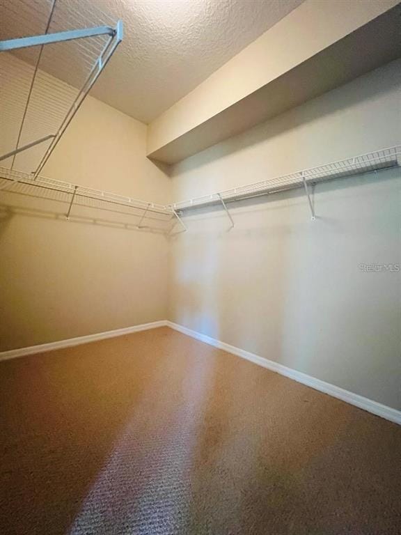 Building Photo - 121 Raintree Cir