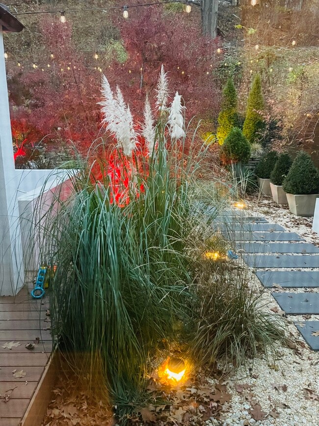 Building Photo - 204 Datura Dr