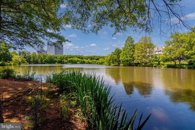 Building Photo - 7753 Inversham Dr