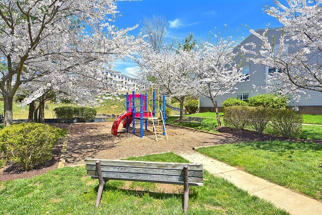 Building Photo - Top-Floor 3BD/3BA seconds to Downtown Crown!