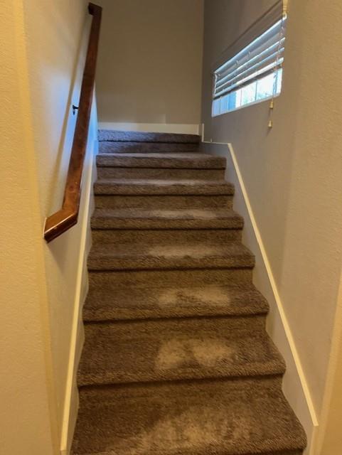 Building Photo - 117 Carrington Ave