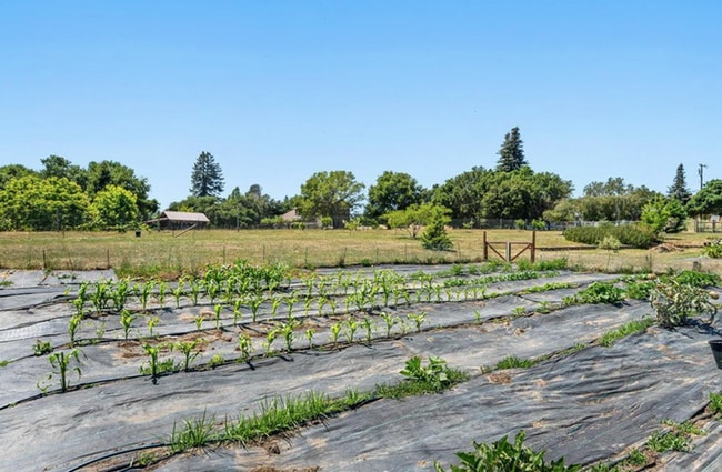 Building Photo - Watsonville: Tranquil Home & Ranch/Farm on...
