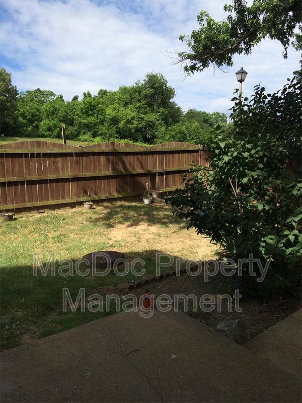 Building Photo - 1101 Forbes St