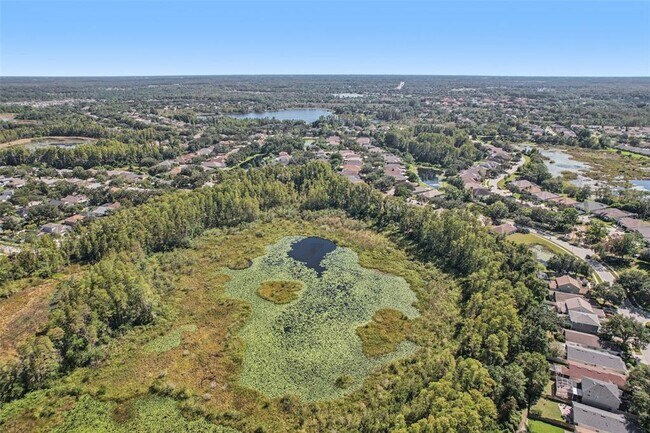 Building Photo - 7842 Citrus Blossom Dr