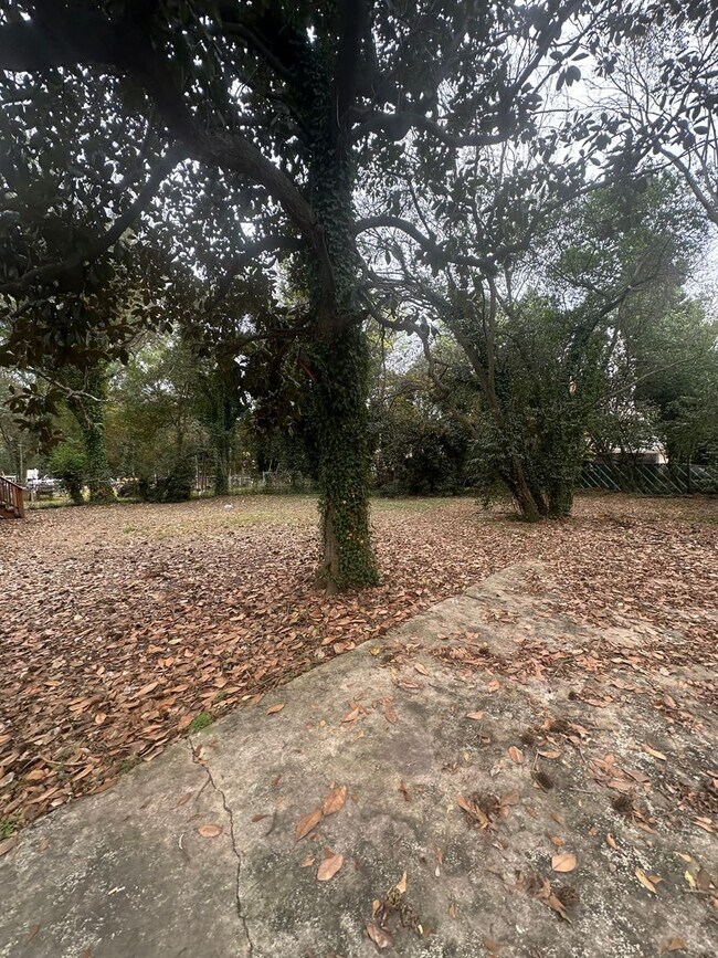 Building Photo - 3 bedroom 1 bath cozy home!