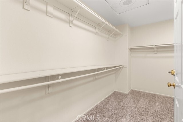 Building Photo - 872 S Briar Rose Ln