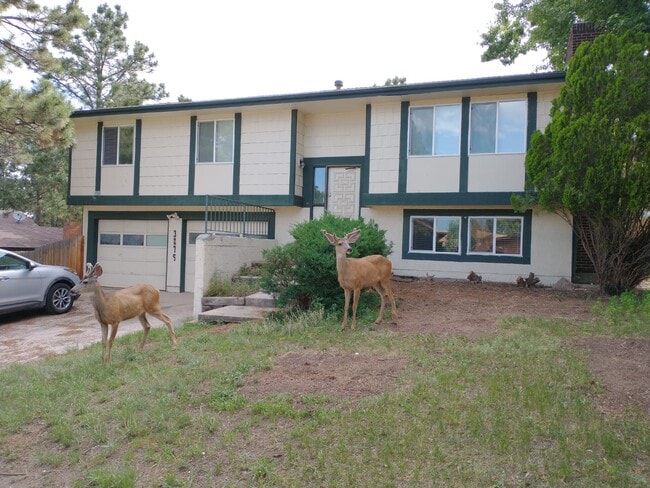 Building Photo - 3275 Squaw Valley Dr