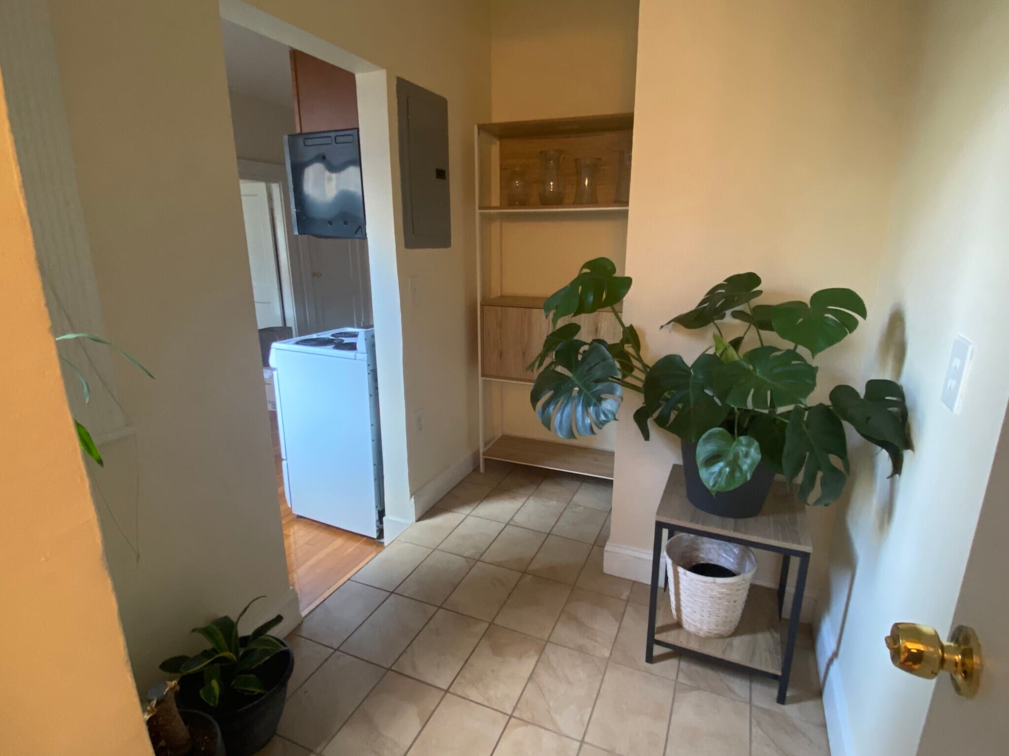 Building Photo - 1318 Commonwealth Ave