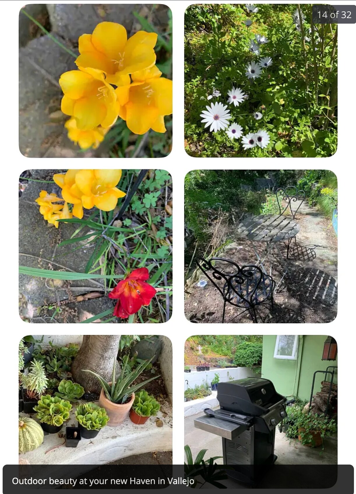 Building Photo - 136 Farallon Dr