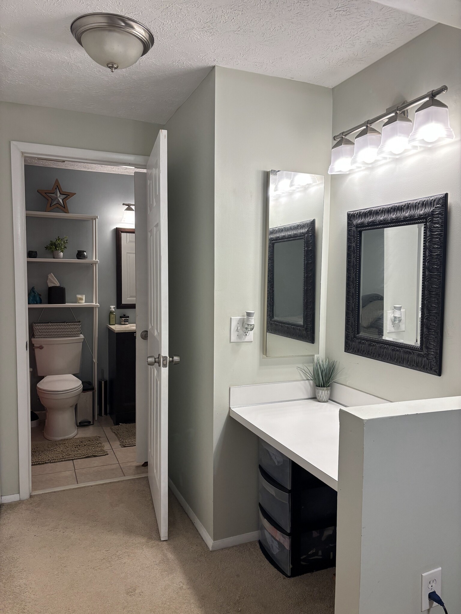 master bedroom/bathroom - 1227 Scaleybark Rd