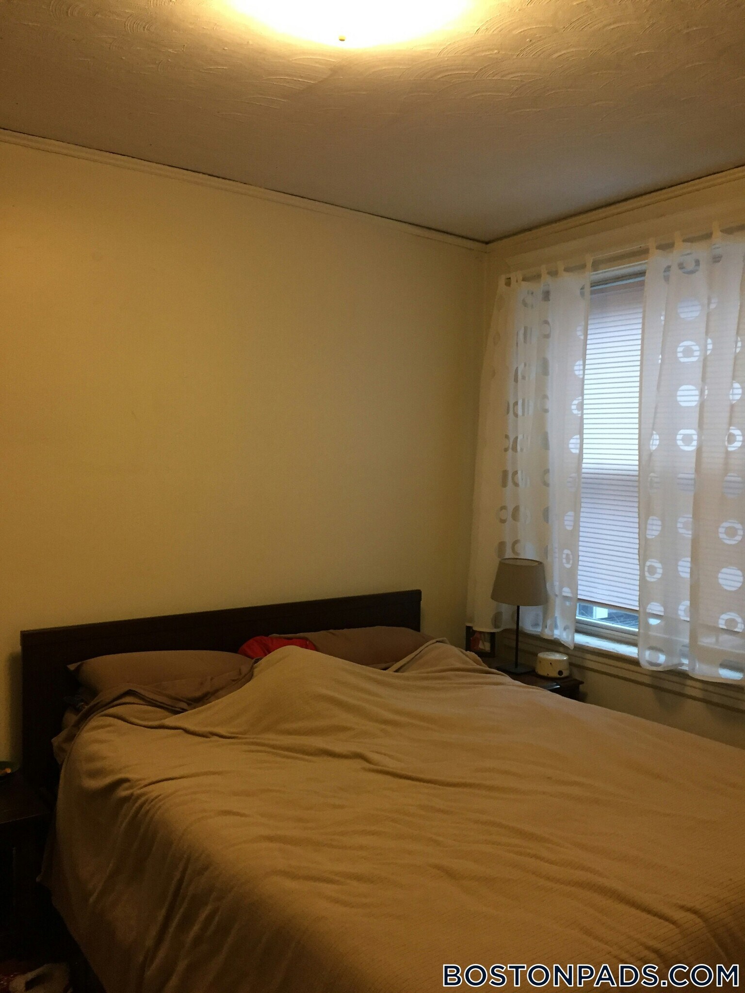 Building Photo - 1615 Commonwealth Ave