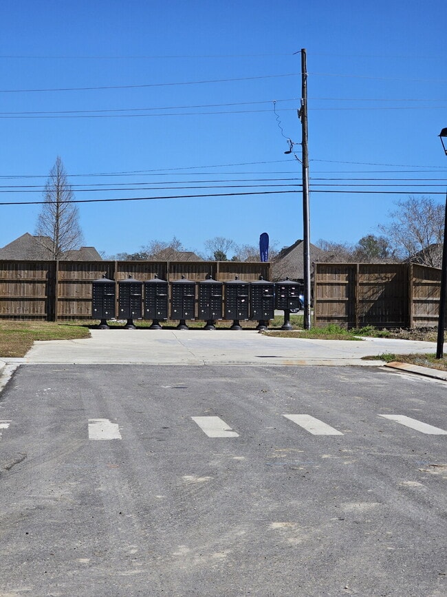 Building Photo - "New Construction 4-Bed Gem on Renova Drive in Pelican Lakes! Near LSU!