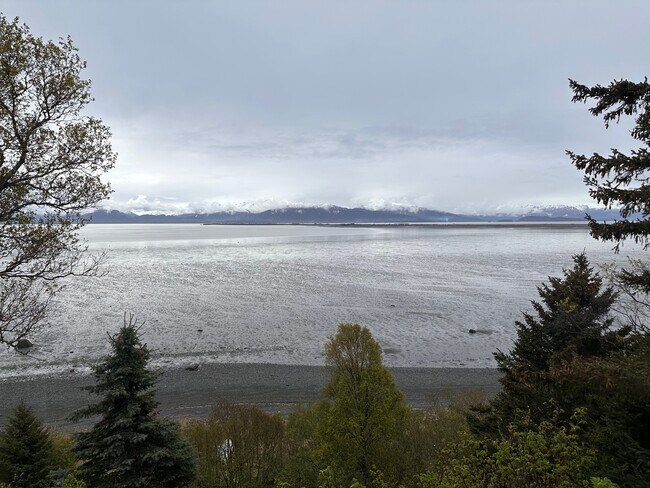 Building Photo - 2913 Kachemak Dr