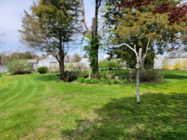 Building Photo - 46 Gilbert St