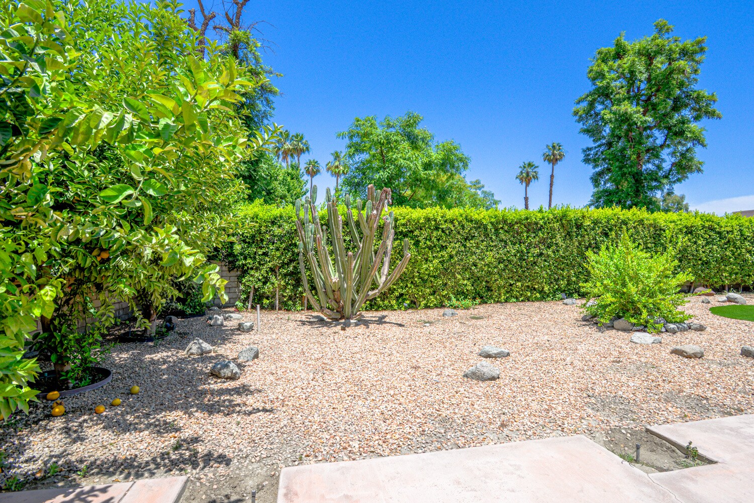 Building Photo - 74830 Waring Ct