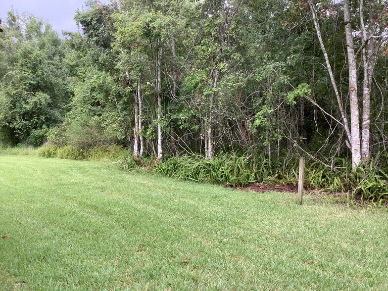 Rear Preservation Area - 940 Rock Harbor Ave