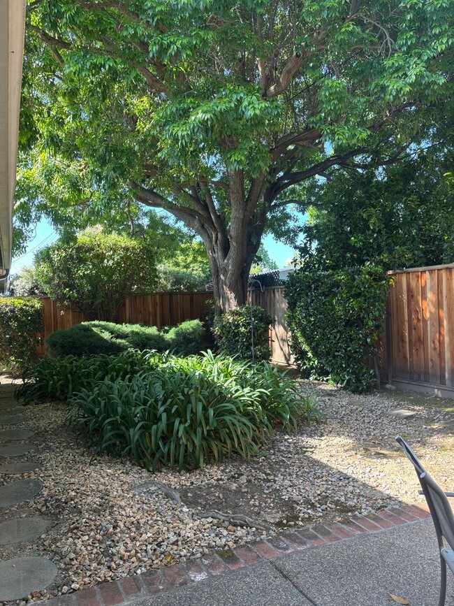 Building Photo - Well maintained 3 bed/2 bath in Santa Clara, bring your pet :)