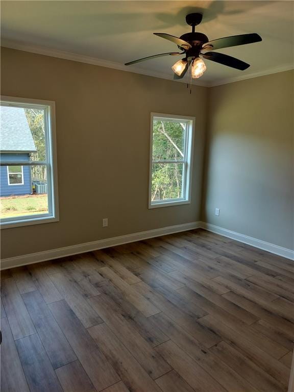 Building Photo - 61 College Heights