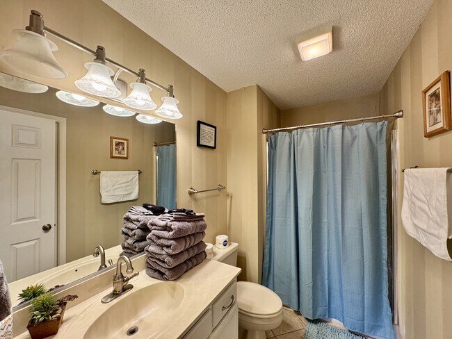 Building Photo - 308 Chota View Pl