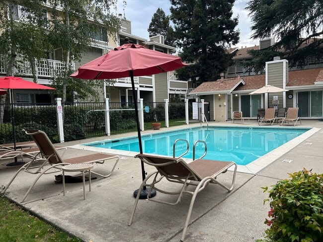 Building Photo - Sophisticated 2BR Walnut Creek Residence –...