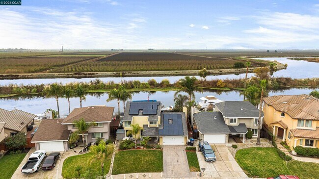 Building Photo - 500 Discovery Bay Blvd