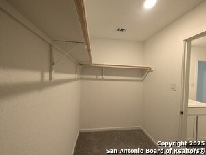 Building Photo - 1514 Pile Trl